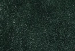 169 - Экокожа (21 расцветка)