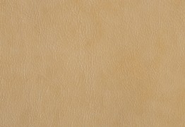 169 - Экокожа (21 расцветка)